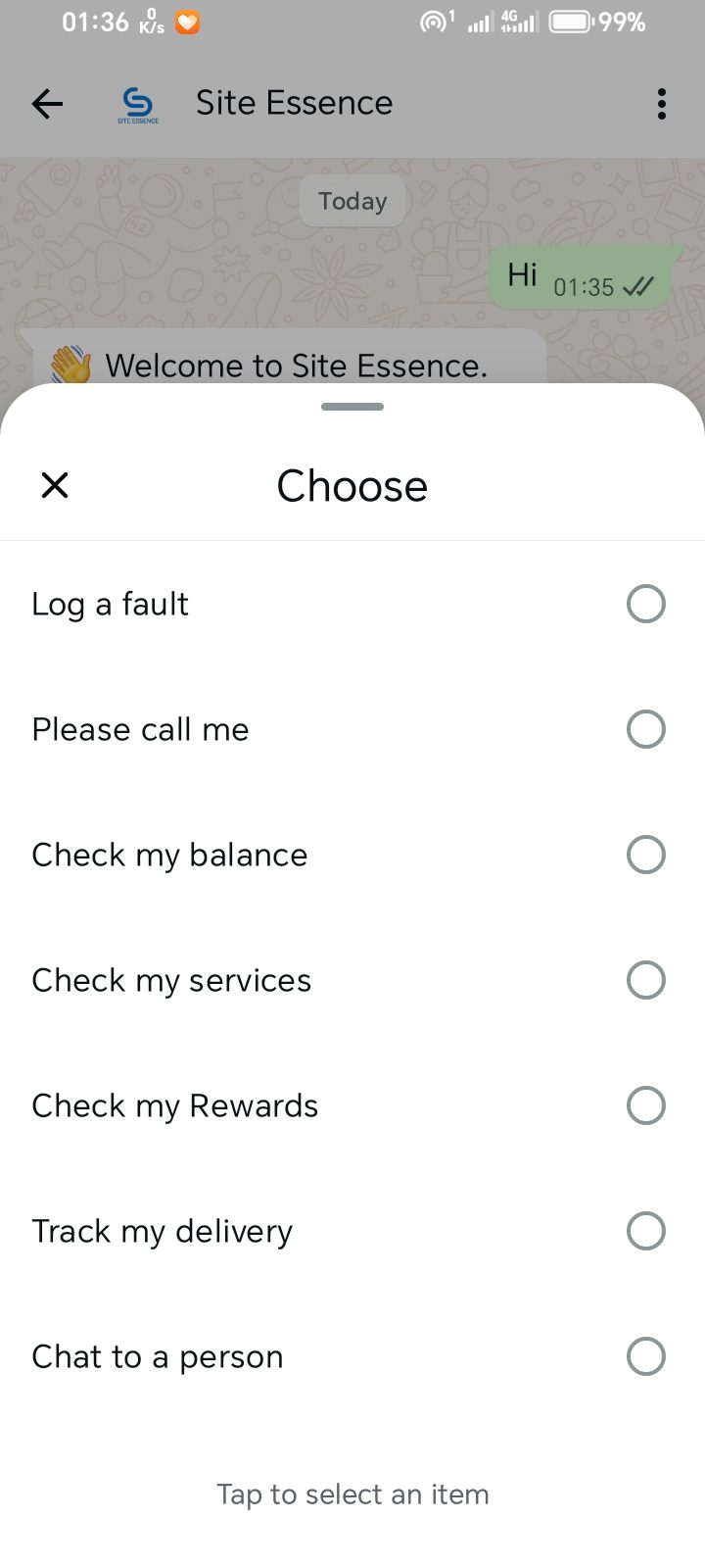 Site Essence WhatsApp self-service conversation, step 2